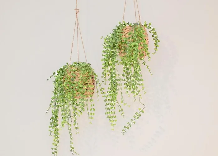 Liiiving In - Boho Blue 아파트 *